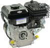 Motoren SERIE 550 IC Briggs & Stratton