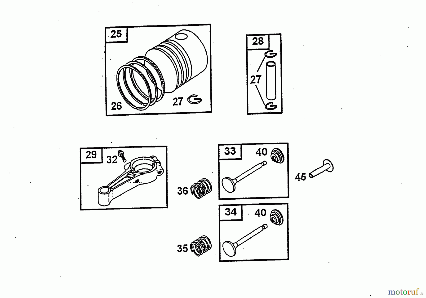  Wolf-Garten Benzinmotoren Briggs&Stratton Sprint 40 Fixspeed 2079070  (2004) Kolben, Pleuel, Ventile