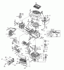 Wolf-Garten Prisma 156 2031050 (1997) Ersatzteile Motor