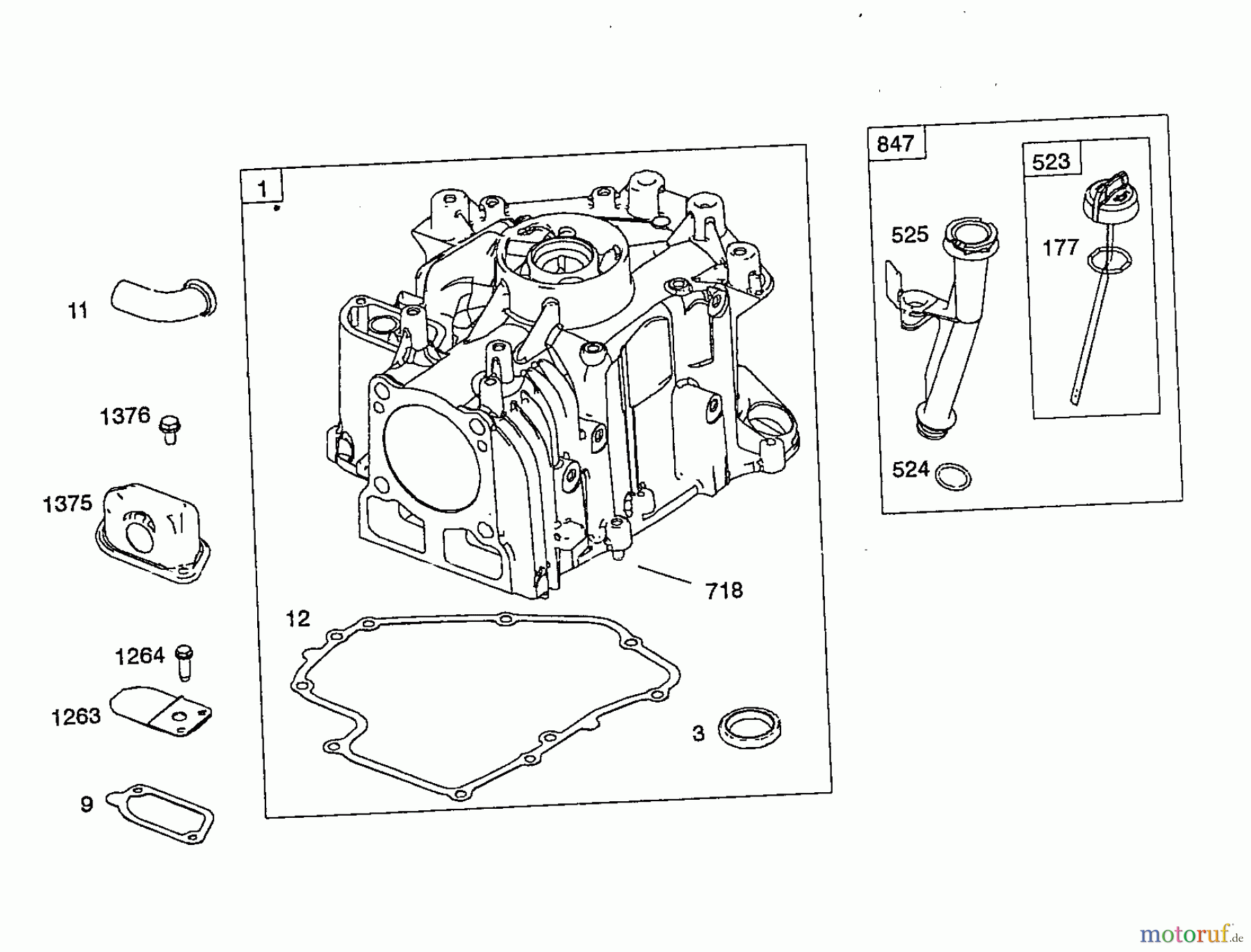 Wolf-Garten Benzinmotoren Briggs&Stratton DOV 700 H-Start 2046000 (2008) Ölmeßstab, Zylinder