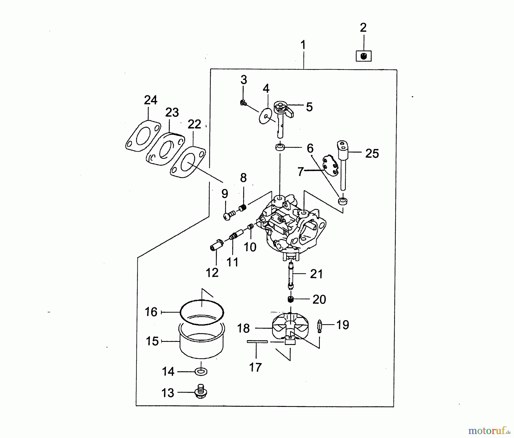 Wolf-Garten Benzinmotoren Kawasaki FJ 180 V 2094000 (2005) Vergaser