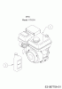 Black-Line BLK 7065 24B-812C683 (2019) Ersatzteile Motor MTD