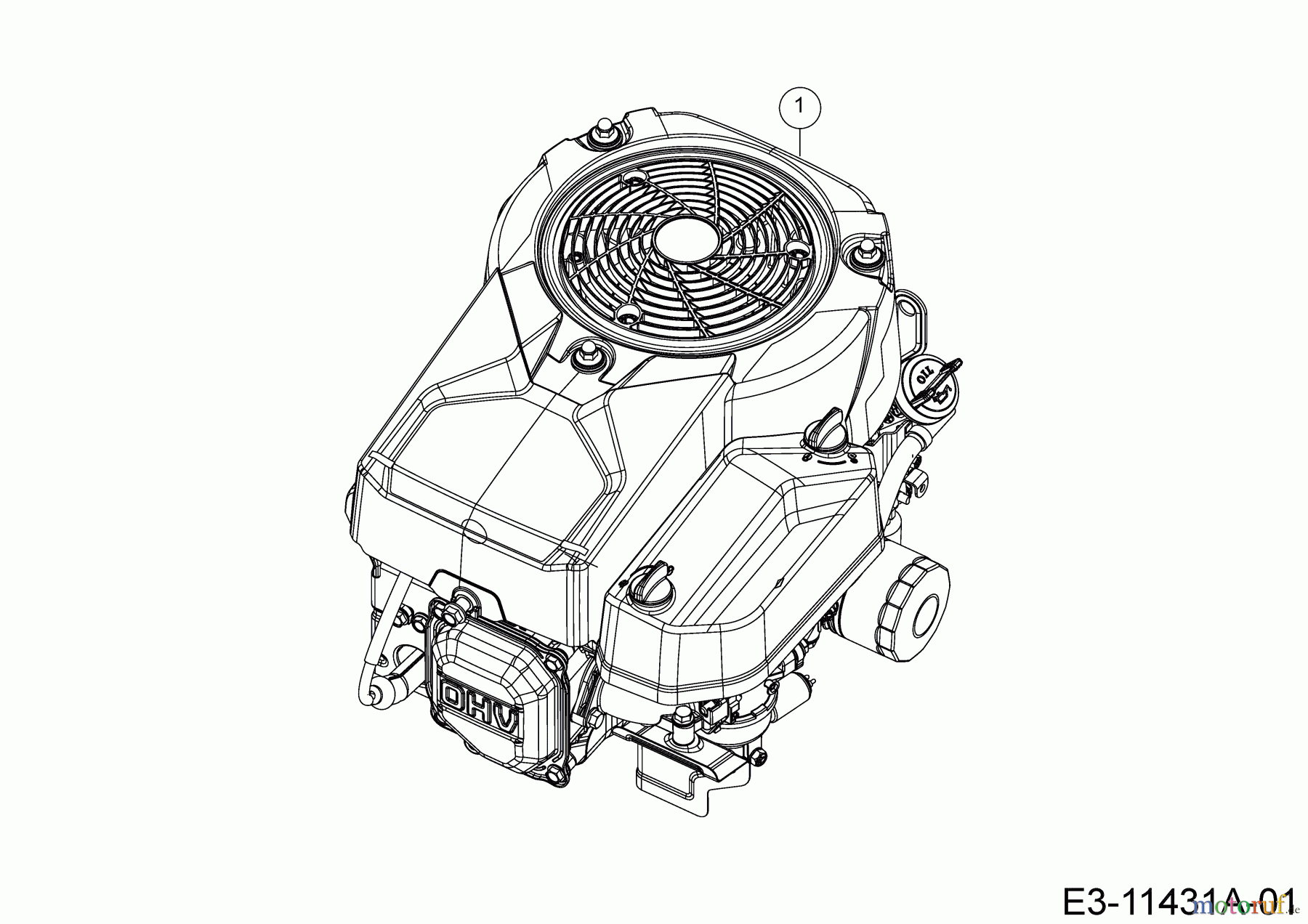 Tigara Rasentraktoren TG 22/107 HBI 13IT79KG649 (2019) Motor