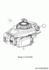 Cub Cadet LM2 DR46ES 12ECTQS7603 (2023) Ersatzteile Motor
