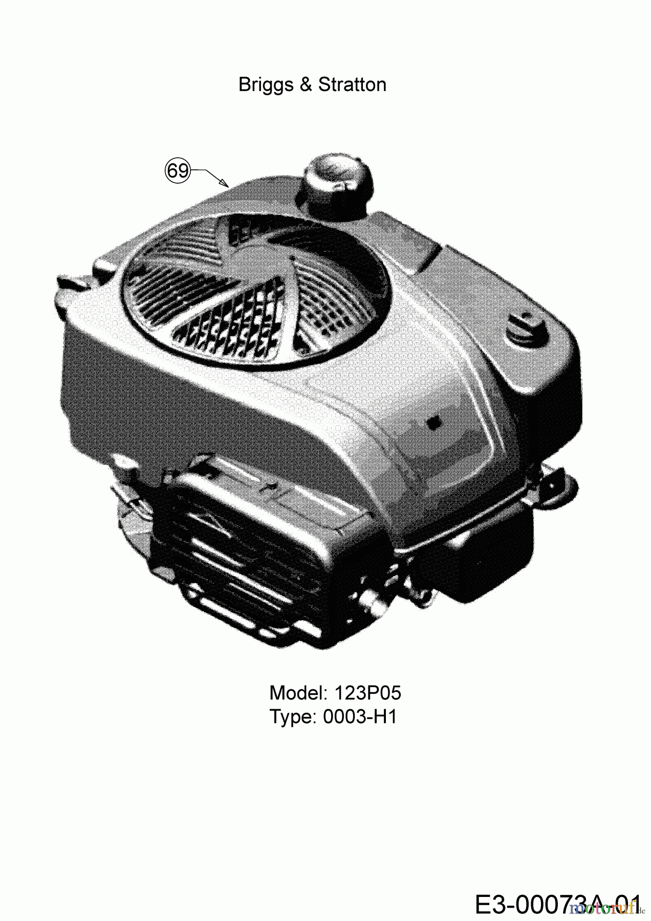 Wolf-Garten Motormäher mit Antrieb Expert 53 B ES V 12ARZA9B650 (2018) Motor Briggs & Stratton
