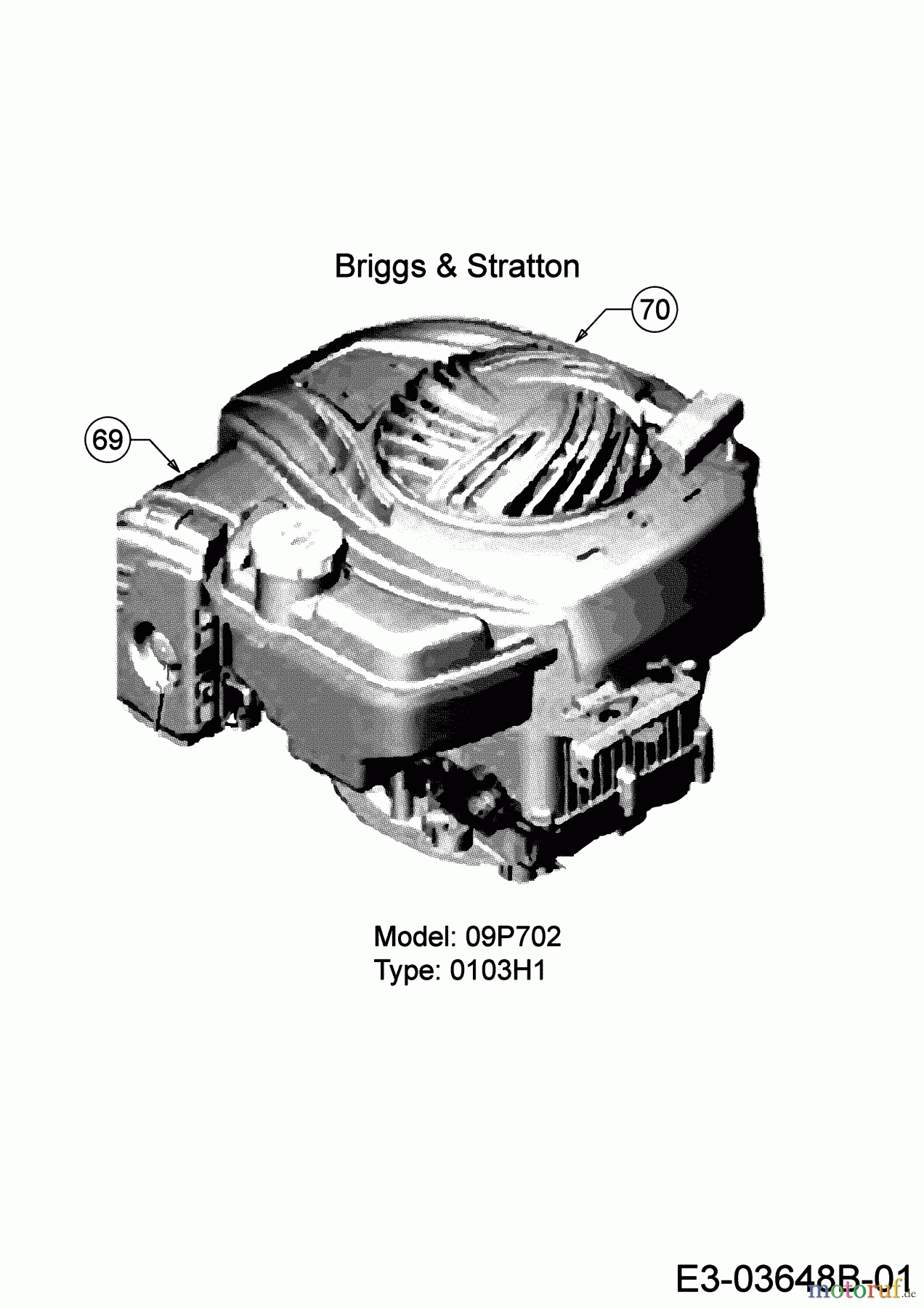  Wolf-Garten Motormäher OMEGA 46 BP 11A-YA5E650 (2019) Motor Briggs & Stratton
