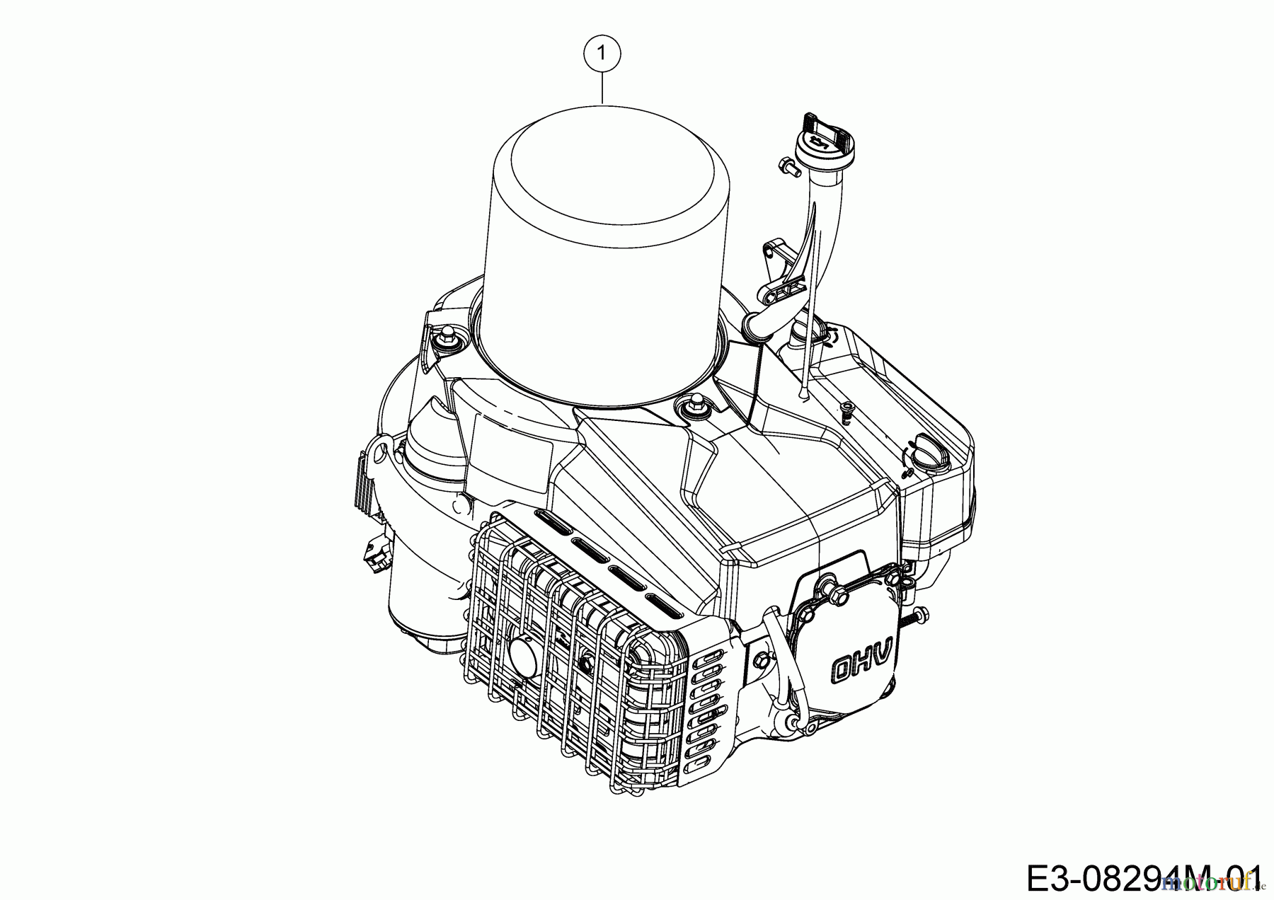 Wolf-Garten Rasentraktoren Scooter Hydro 13B721SD650 (2020) Motor