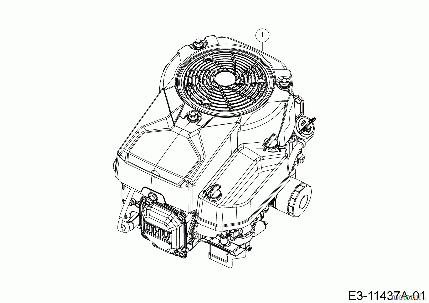 Wolf-Garten Rasentraktoren 106.185 H 13CLA1VR650 (2020) Motor