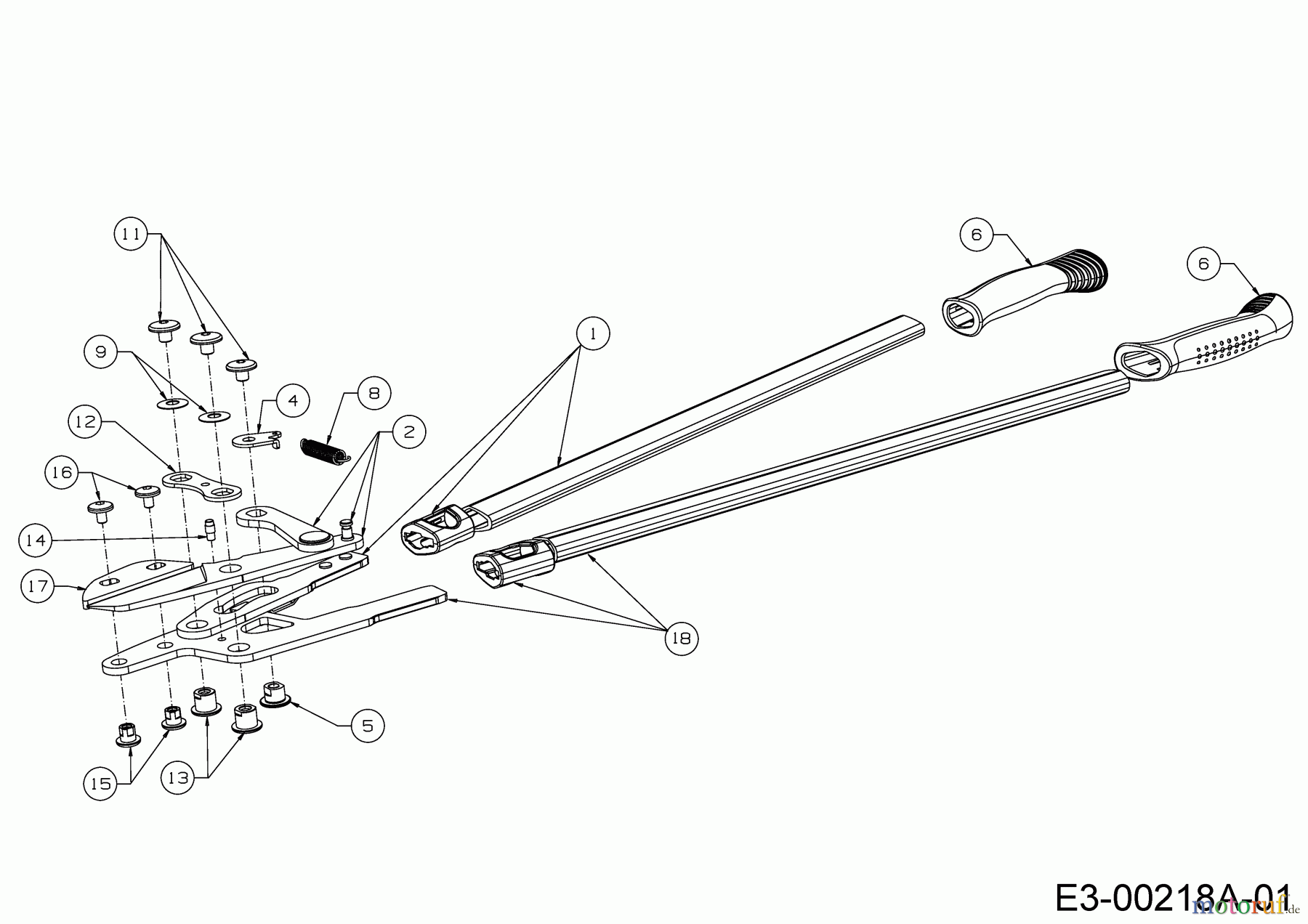 Wolf-Garten Astscheren RS 800 V 73AGA010650 (2023) Grundgerät