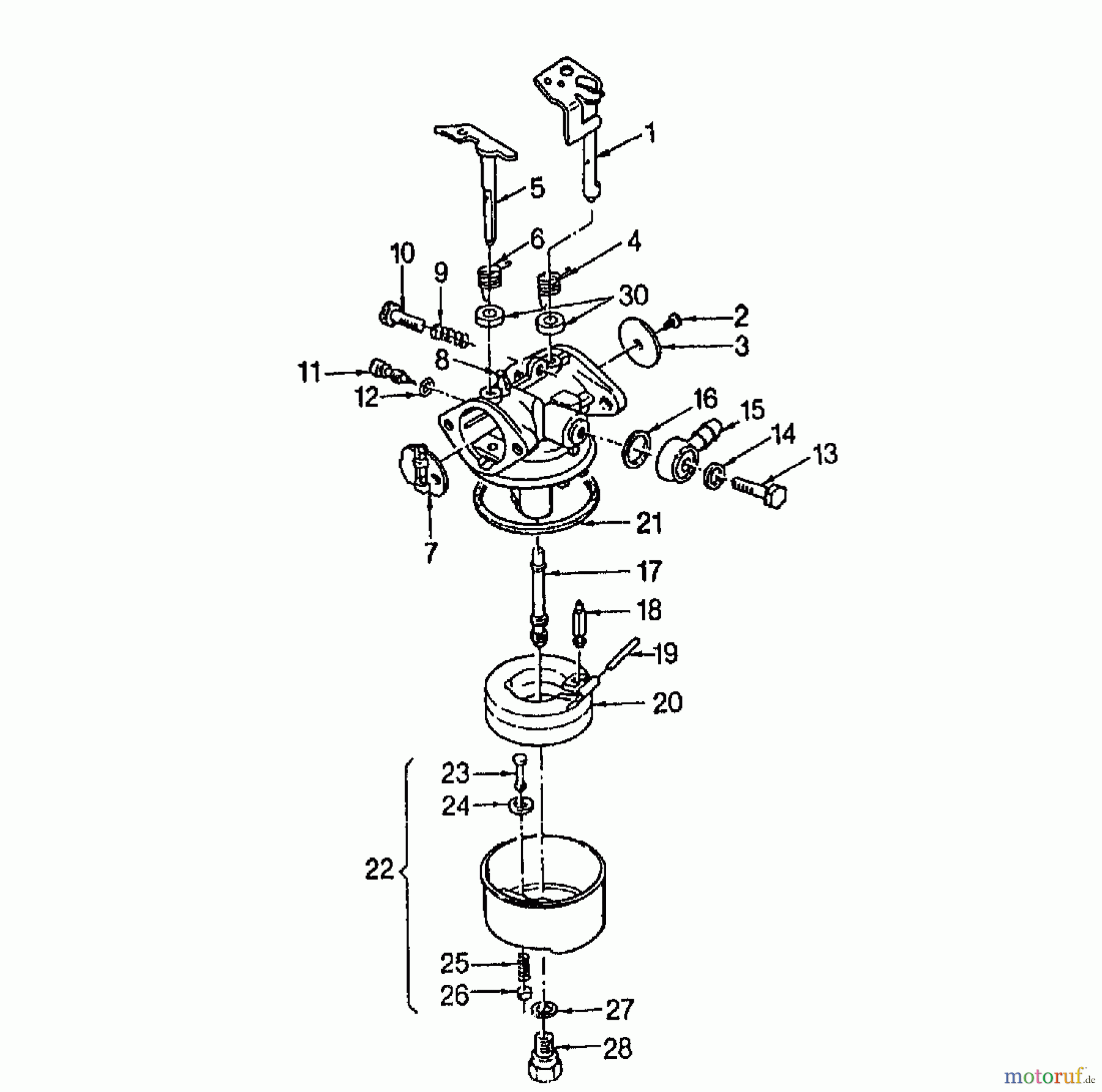 Golf Motorhacken 250 MS 4 04034.02 (1996) Vergaser