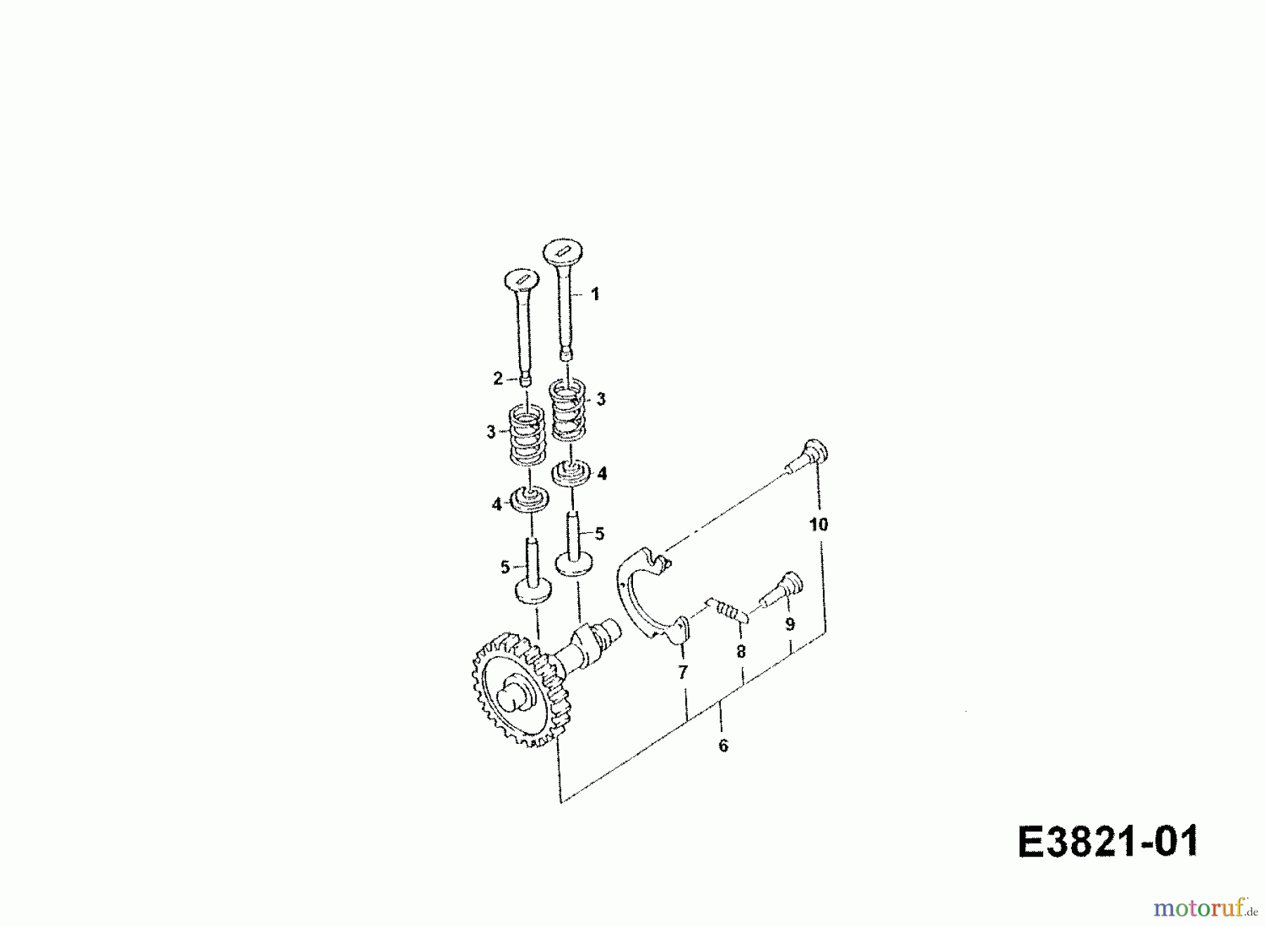 Gutbrod Einachser G 550 56A-550-604 (1998) Nockenwelle, Ventile