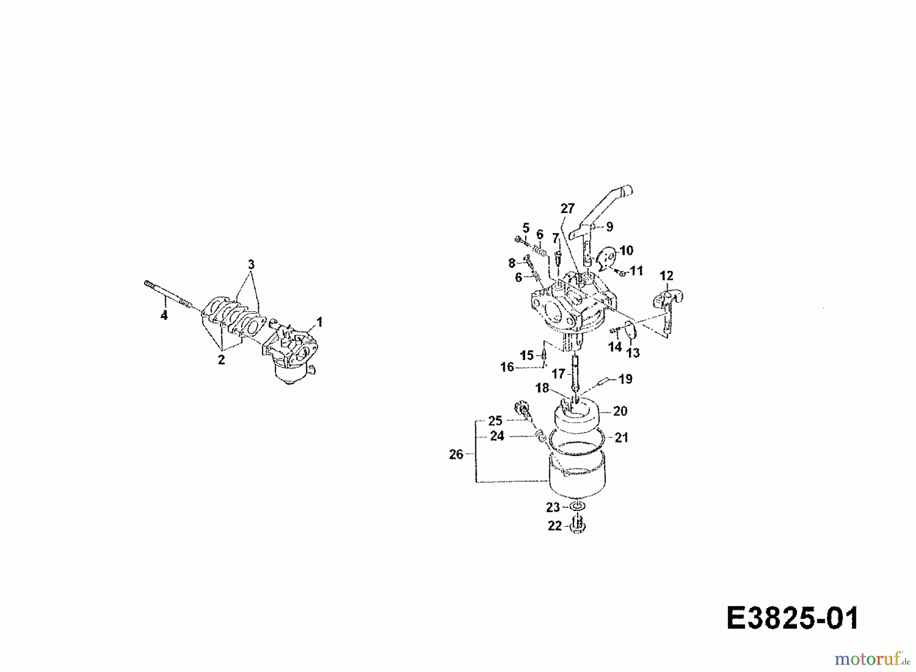 Gutbrod Einachser G 550 56A-550-604  (1998) Vergaser