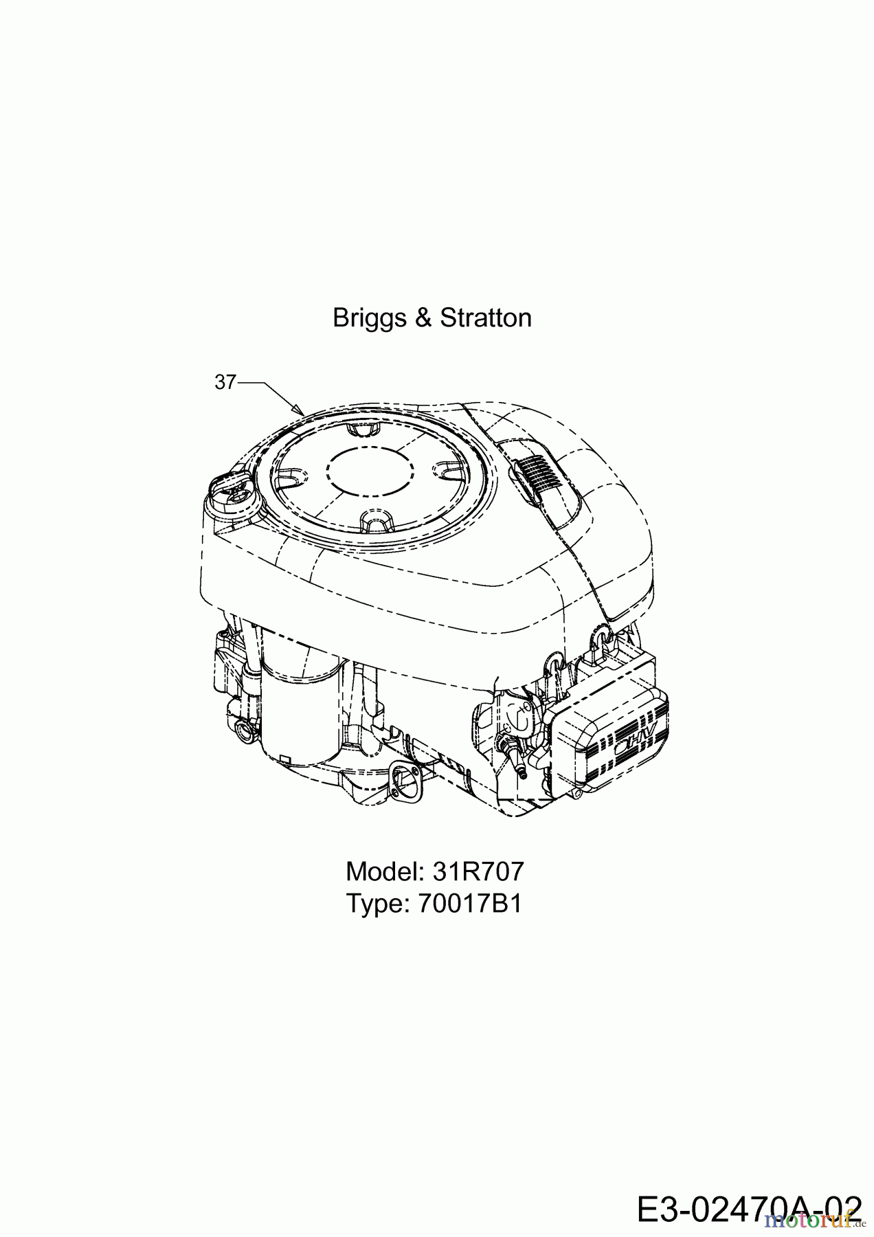 Wolf-Garten Rasentraktoren Ambition 107.175 H 13TN79RG650 (2014) Motor Briggs&Stratton