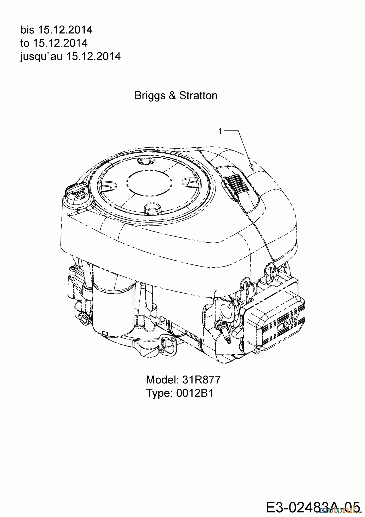  Cub Cadet Rasentraktoren CC 1019 HN 13HJ91AN603  (2015) Motor Briggs & Stratton bis 15.12.2014