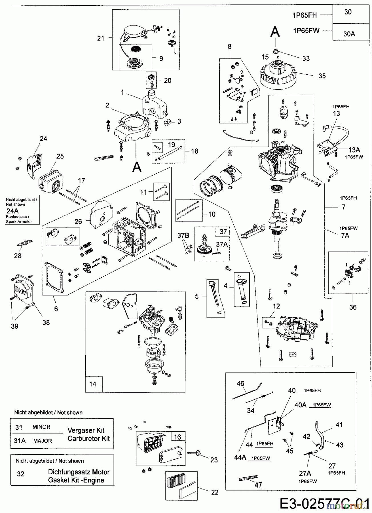MTD-Motoren MTD vertikal 1 P 65 FW 752Z1P65FW (2006) Motor