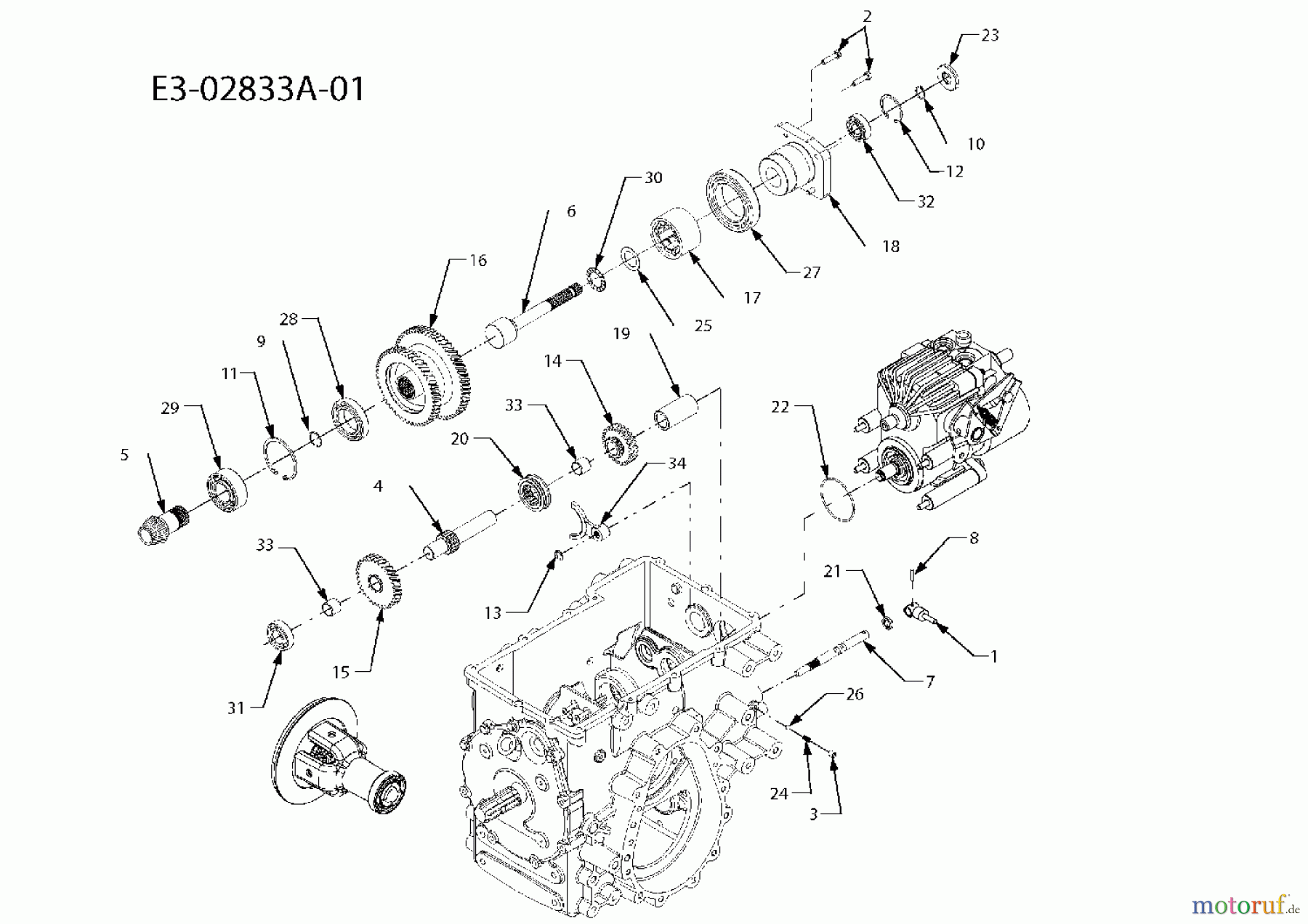  Massey Ferguson Kompakttraktoren MF 22-28 GC 54AD64J-695  (2007) Antrieb Hydrostatpumpe