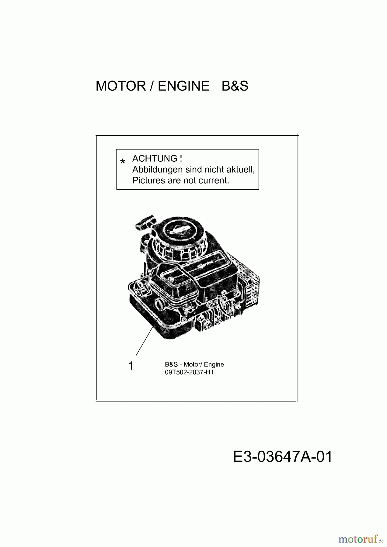 MTD Motormäher mit Antrieb 46 SB 12A-TA0G600 (2014) Motor