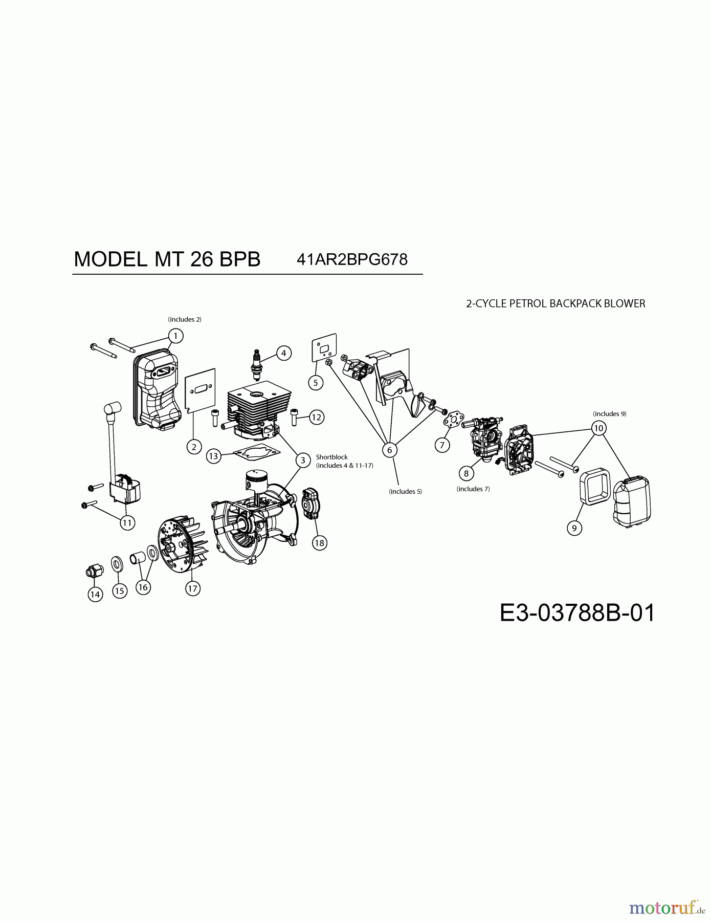  MTD Laubbläser, Laubsauger MT 26 BPB 41AR2BPG678  (2009) Motor