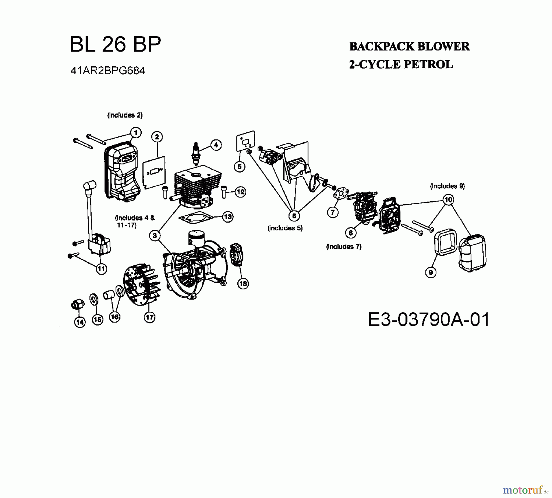 Bolens Laubbläser, Laubsauger BL 26 BP 41AR2BPG684 (2008) Motor