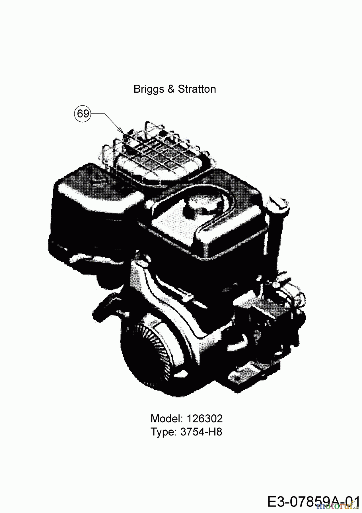 MTD Laubsauger mit Häckselfunktion 202 24A-202K678 (2017) Motor Briggs & Stratton