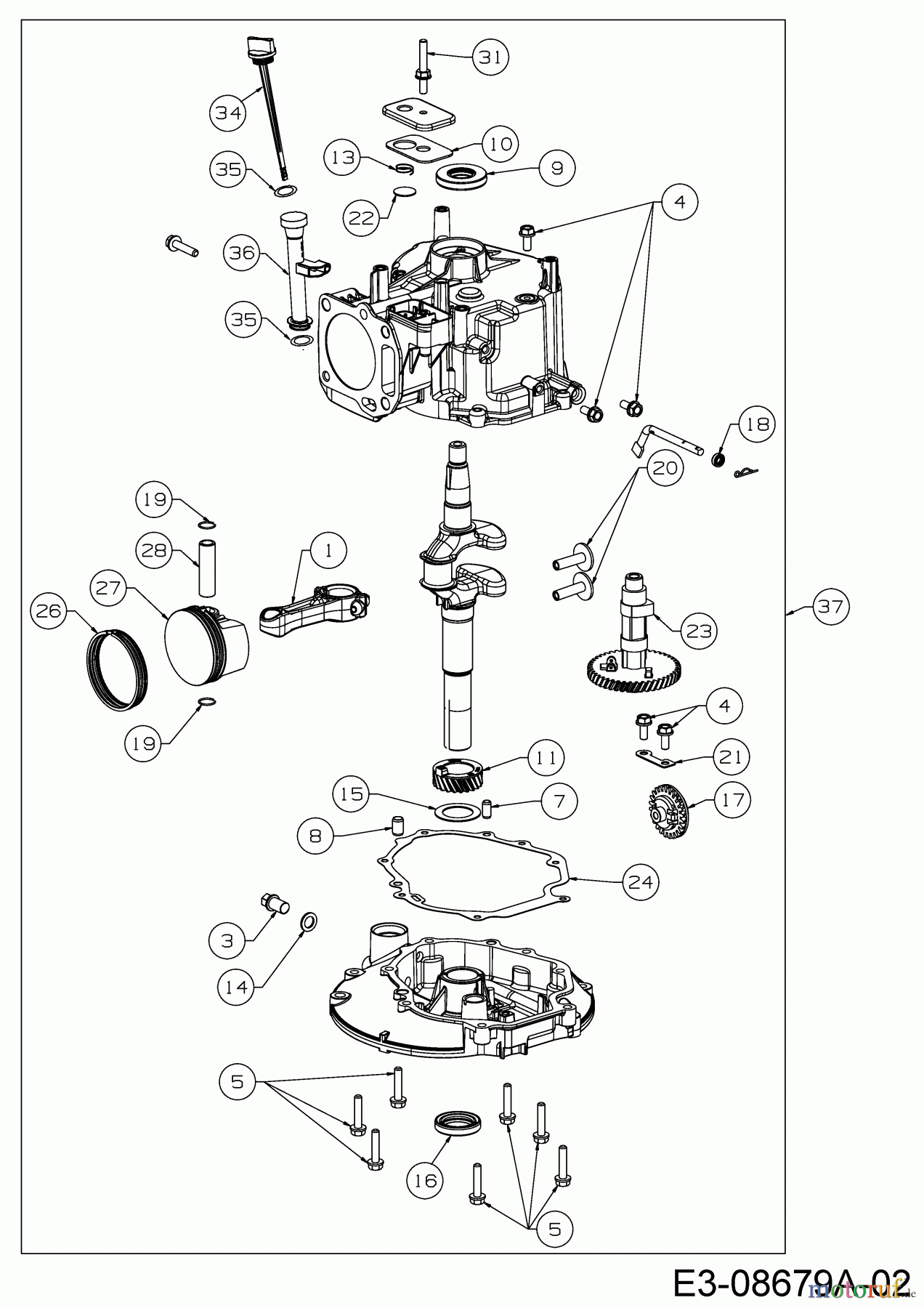  MTD-Motoren Vertikal 5T65RH 752Z5T65RH  (2017) Rumpfmotor