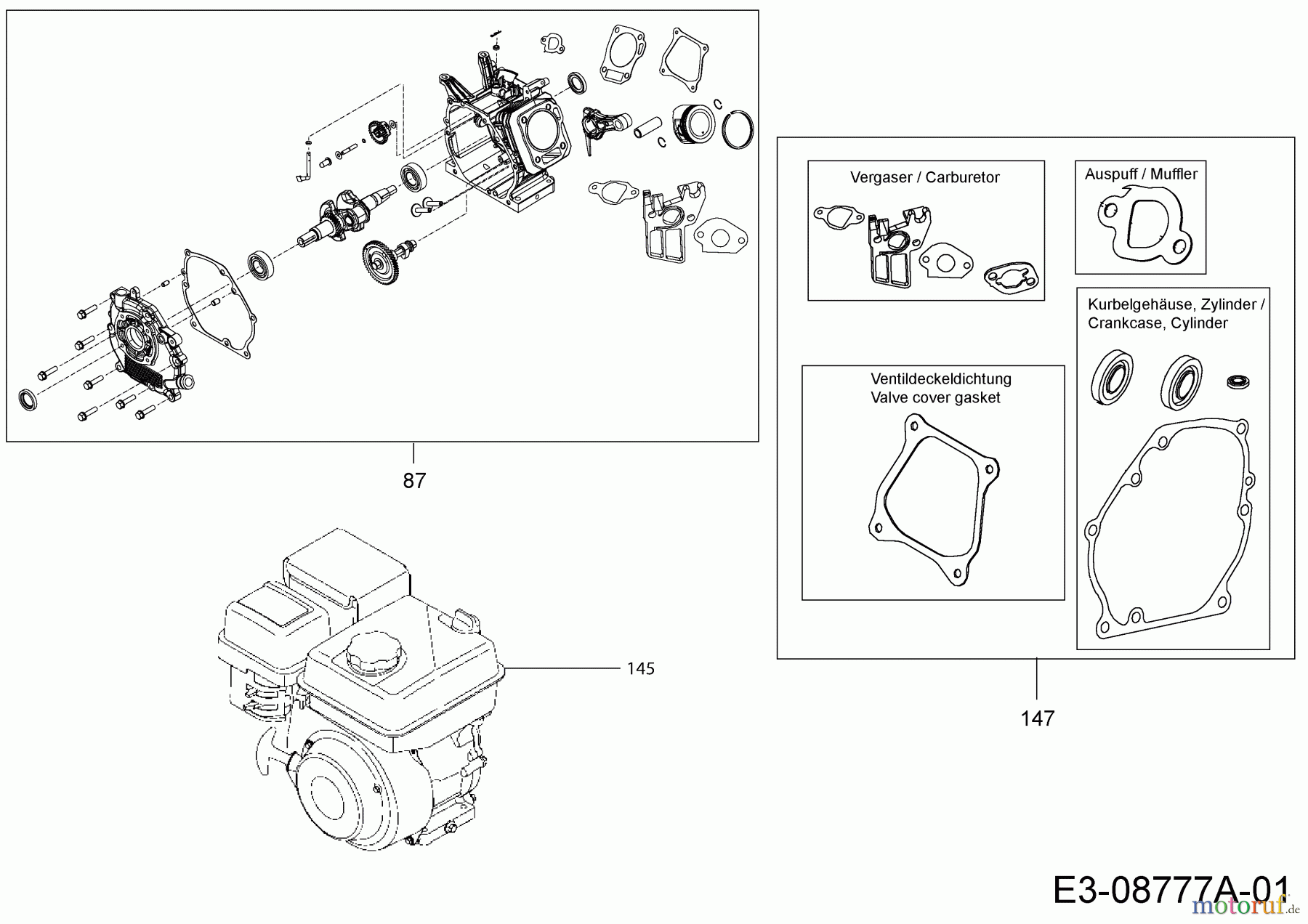 MTD-Motoren MTD horizontal 170-DH 752Z170-DH (2014) Dichtungssatz, Motor, Shortblock