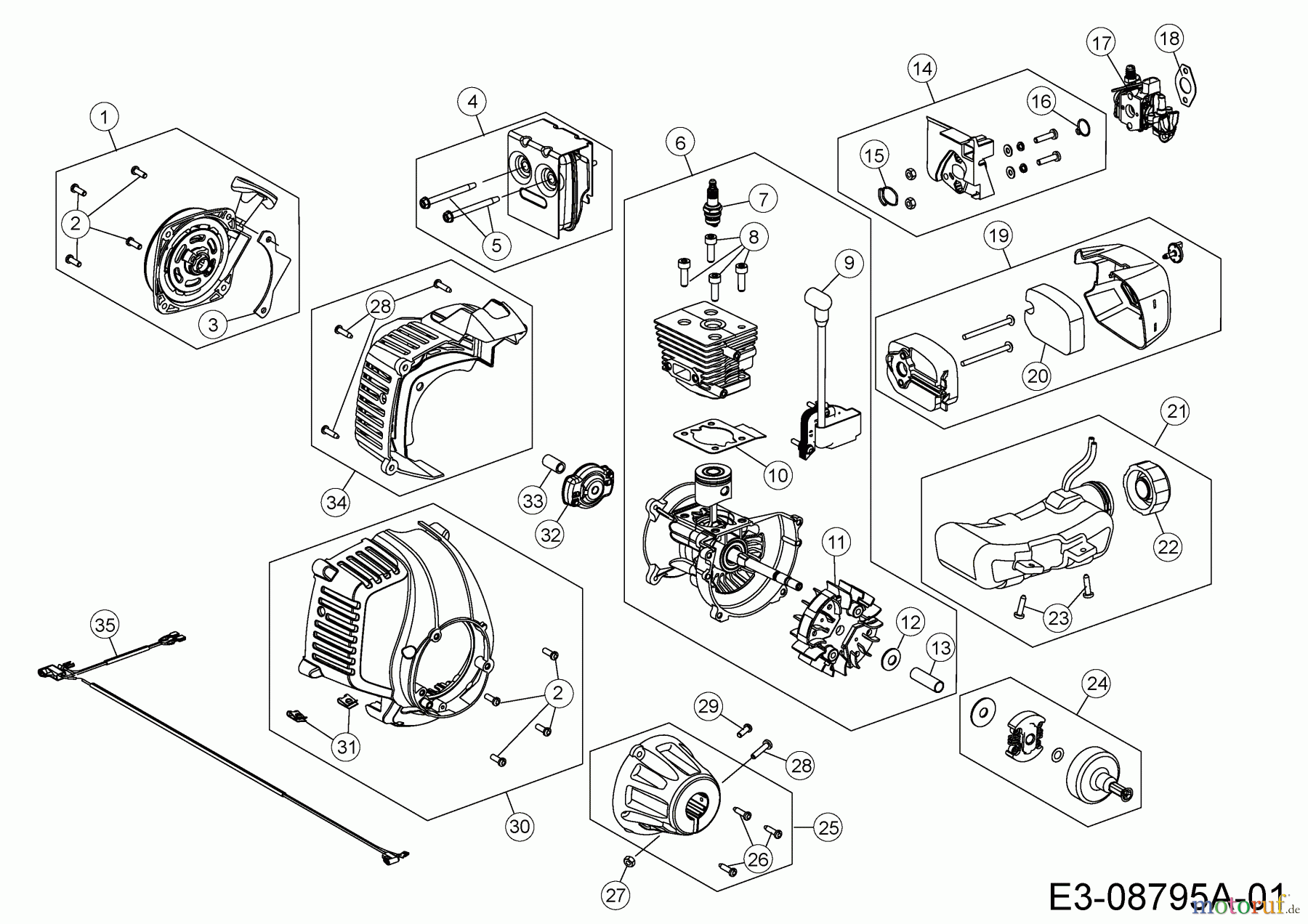 Wolf-Garten Motorsensen GT-S 2-27 41AD7UTC650 (2014) Motor