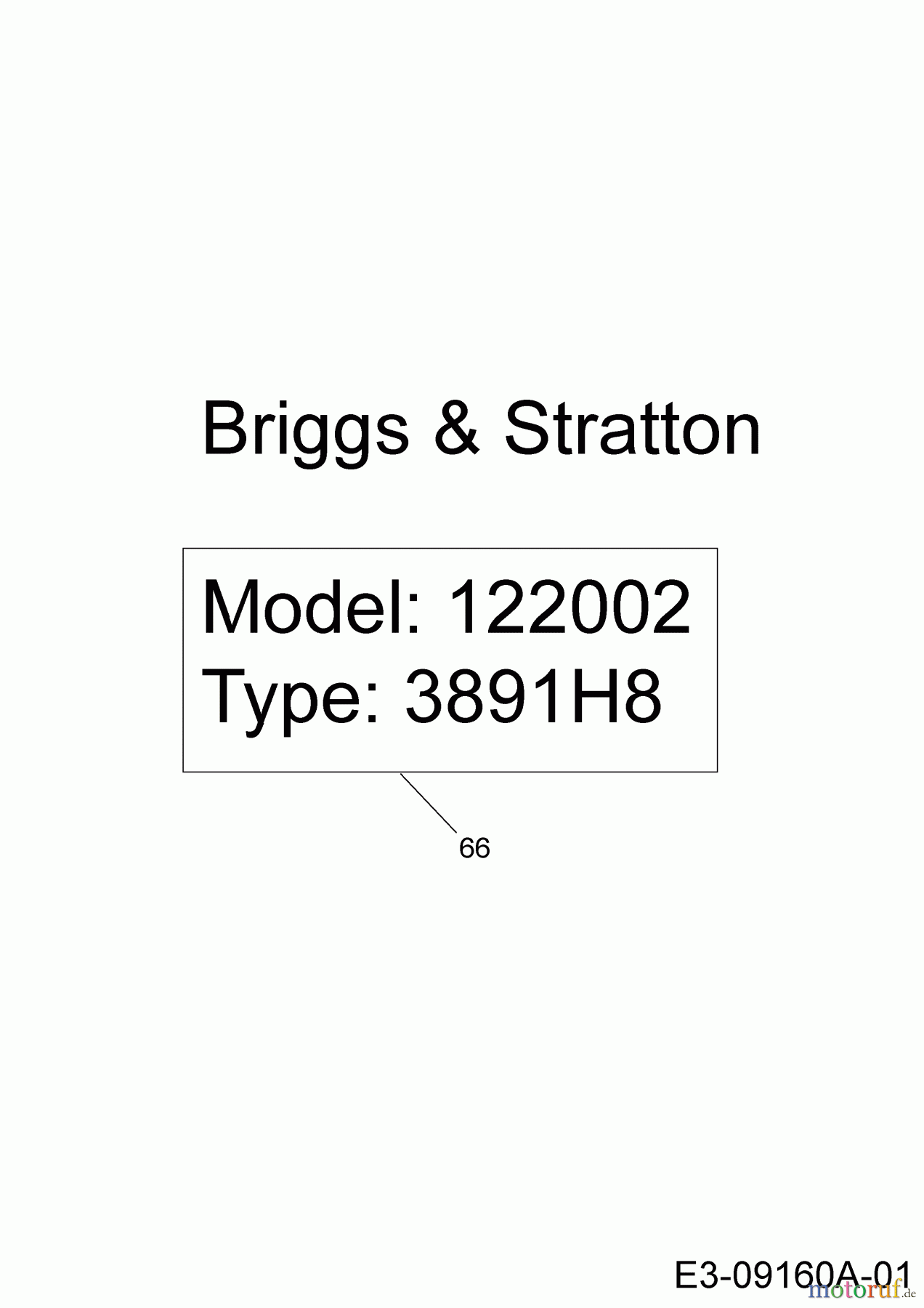 MTD Motorhacken T/450 21AB454B678 (2016) Motor Briggs & Stratton