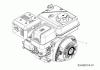 Cub Cadet VT 100 21A-70M8710 (2017) Ersatzteile Motor MTD