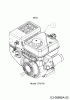 Wolf-Garten SF 66 E 31AY54T3650 (2019) Ersatzteile Motor MTD