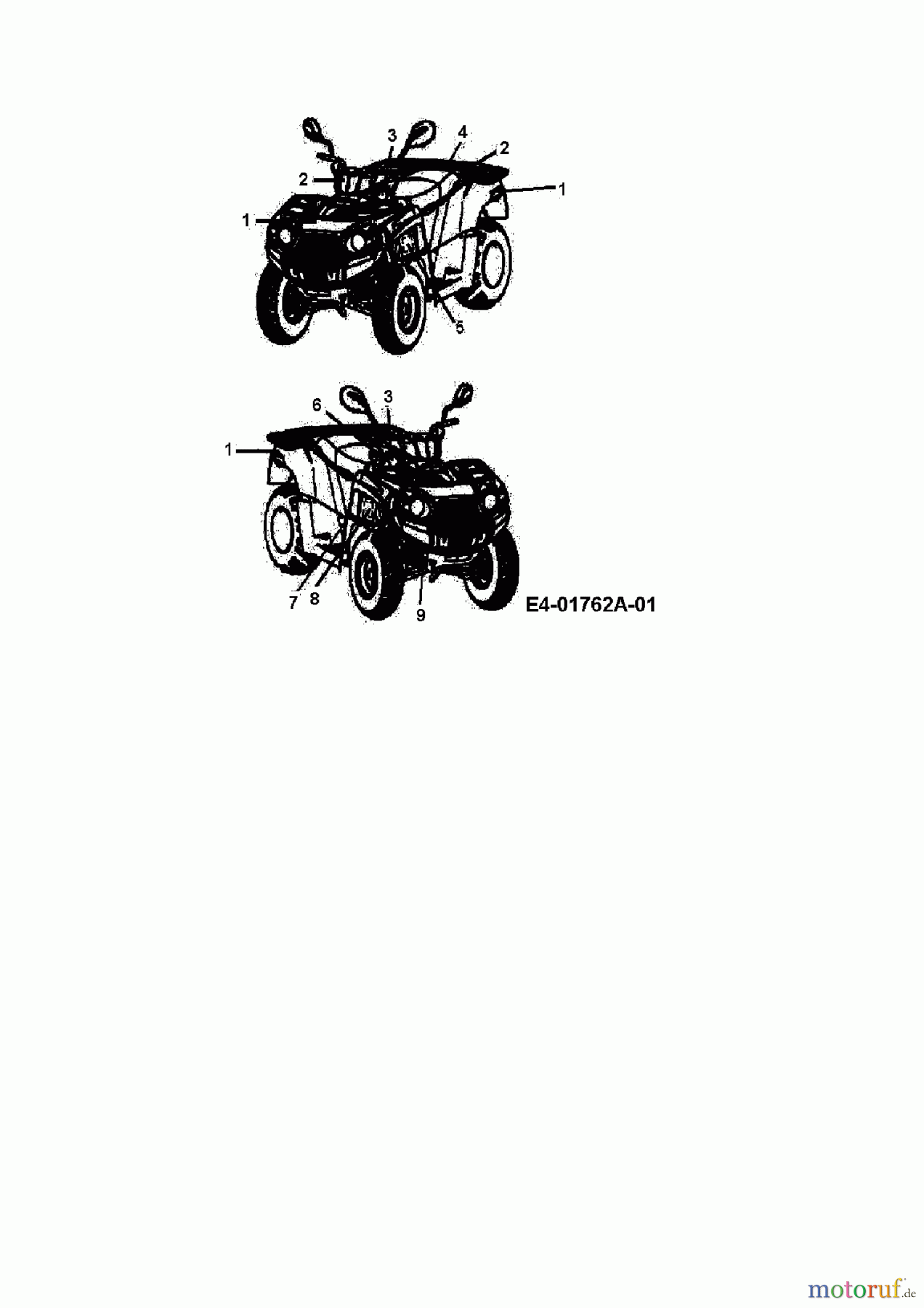  Cub Cadet Quads UT 300 36AB146-603  (2008) Beschilderung
