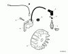 Echo WP-1000 - Water Pump, S/N: 501001-599999 (Canada: 01001-99999) (Type 1E) Ersatzteile Ignition