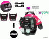 Echo PB-770T - Back Pack Blower, S/N: P03012001001 - P03012999999 Ersatzteile Labels