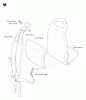 Husqvarna 125 BT - Backpack Blower (2004-10 & After) Ersatzteile Backpack Harness