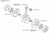 Husqvarna 326 HDA 55X - Hedge Trimmer (2003-01 to 2003-12) Ersatzteile Crankshaft