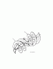 Jonsered ST 2111 E - Snow Thrower (2010-08) Ersatzteile AUGER HOUSING IMPELLER #2