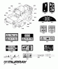 Murray EZT2042 (2691041-02) - 42" Zero Turn Rider, 20HP (2013) Ersatzteile Decal Group (2990160)