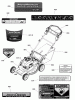 Murray JS38 (7800825) - John Deere 22" Walk-Behind Mower (2012) Ersatzteile Decals (7502560)