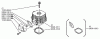 Shindaiwa C20 - String Trimmer / Brush Cutter Ersatzteile Cylinder Head