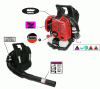 Shindaiwa EB802 - Back Pack Blower, Ersatzteile Labels