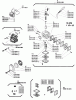 Shindaiwa LE260 - Hand Held Edger Ersatzteile Carburetor