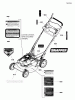 Snapper CP215520HV (7800849) - 21" Walk-Behind Mower, 5.5 GTP Steel Deck Commercial Series 20 Ersatzteile Decal Group