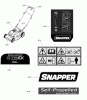 Snapper ESPV21675 (7800253) - 21" Walk-Behind Mower, 6.75GT Variable Speed (Export) Ersatzteile Decal Group