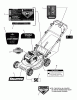 Snapper SPV2270 (7800777) - 22" Walk-Behind Mower, 7 HP, Steel Deck Ersatzteile Decals Group