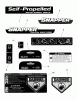 Snapper NSPVH2170 (7800595) - 21" Walk-Behind Mower, 7 HP, Rear Discharge, California Ersatzteile Decals