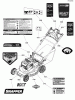 Snapper NXT22875E (7800839) - 22" Walk-Behind Mower, 8.75 HP, Self-Propelled Electric Start Ersatzteile Decal Group