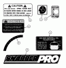 Snapper NZM25612KWV (85675) - 61" Zero-Turn Mower, 25 HP, Kawasaki, Mid Mount, Z-Rider Commercial Lawn & Turf Series 2 Ersatzteile DECALS (continued)