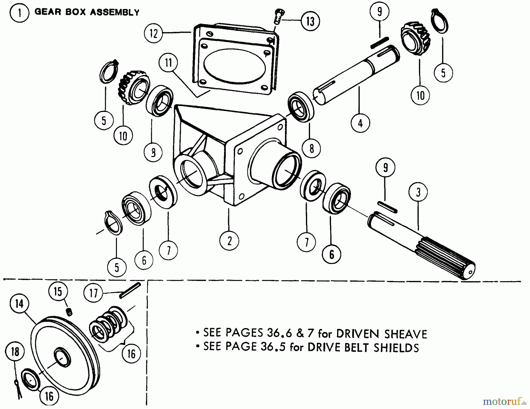  Snapper Sonstiges 7060373 - Snapper 36