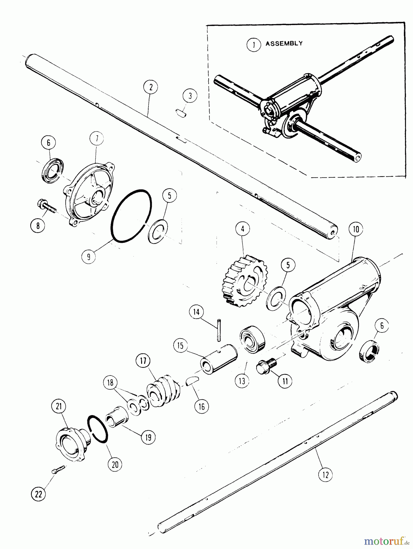  Snapper Sonstiges 7083699 - Snapper 36