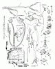Snapper 331415KVE - 33" Rear-Engine Rider, Series 15 Ersatzteile Electrical Systems (For 14HP Kohler)